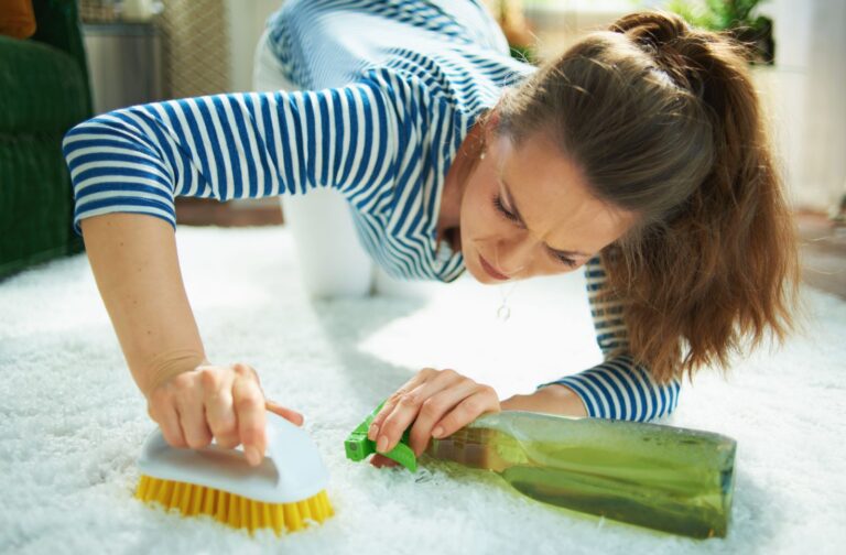 Person cleaning cat urine from carpet using a brush and spray bottle.