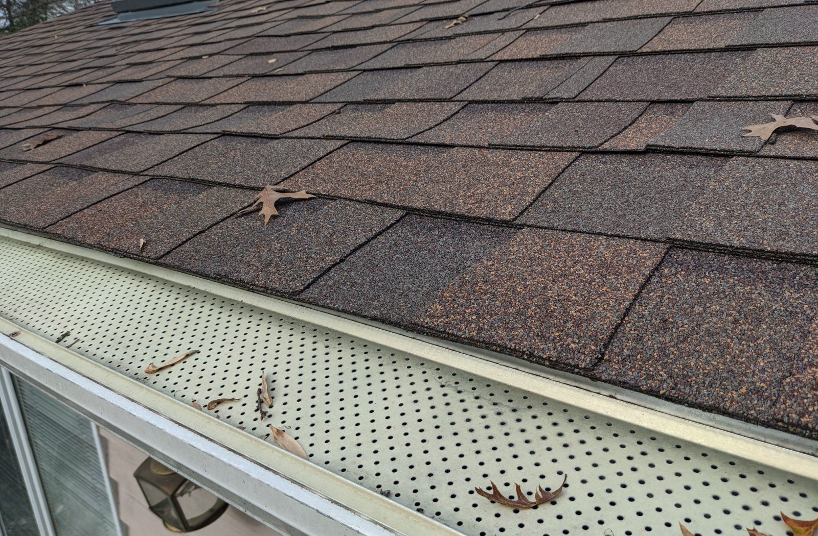 Perforated gutters guards with leaves strewn about.